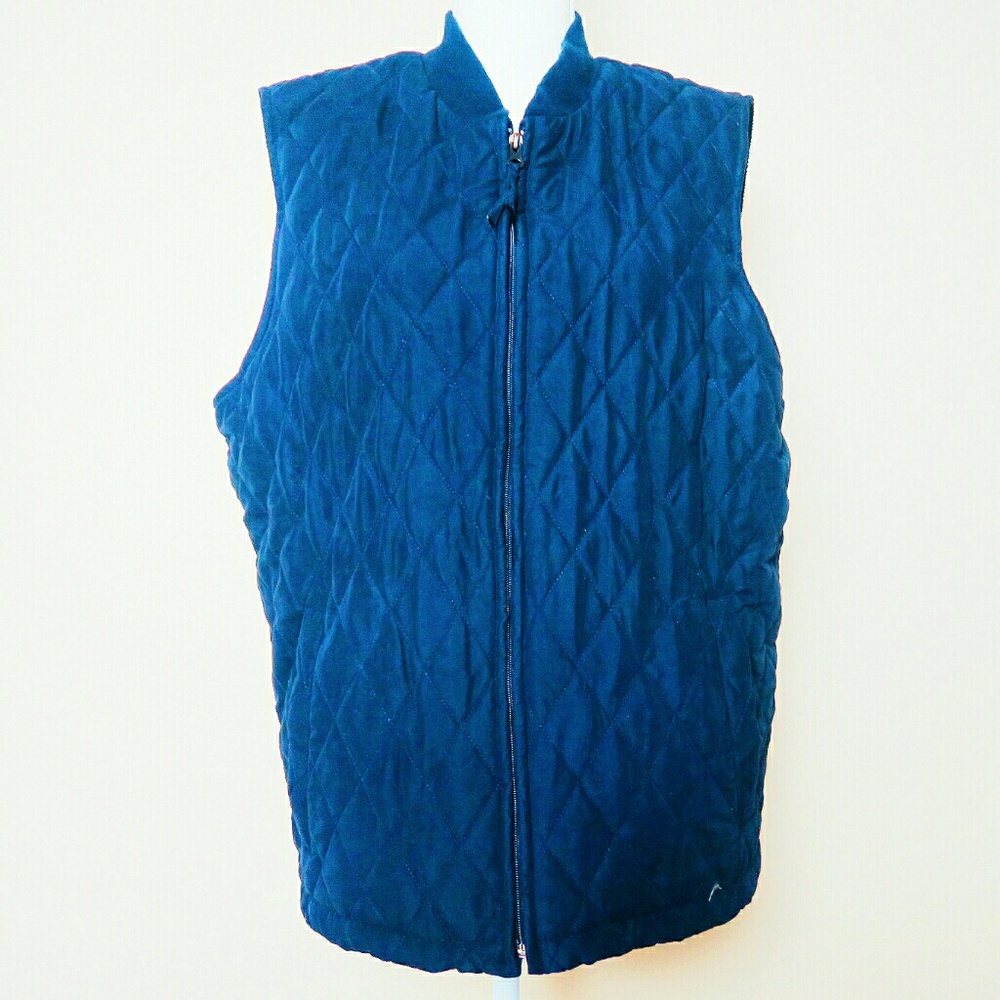 Blue vest